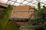leipzig zoo-01_07_2011_gondwanaland_090
